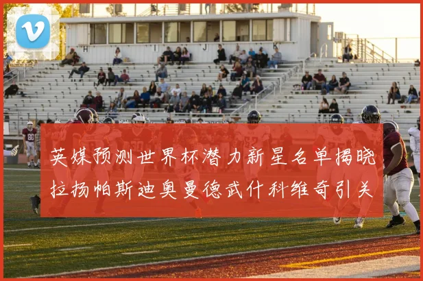 英媒预测世界杯潜力新星名单揭晓拉扬帕斯迪奥曼德武什科维奇引关注